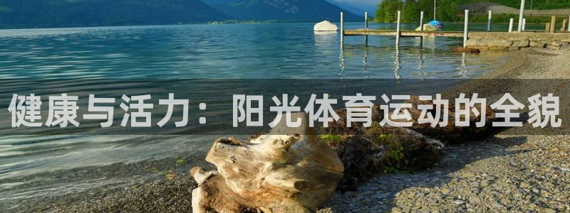 绿茵足球