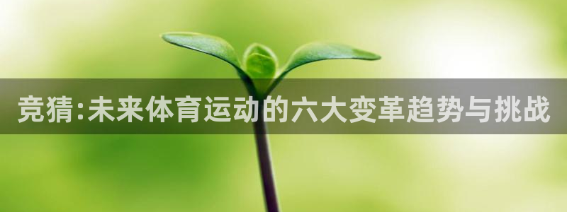 绿茵nba直播在线观看