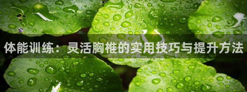 关键词：体能训练：灵活胸椎的实用技巧与提升方法