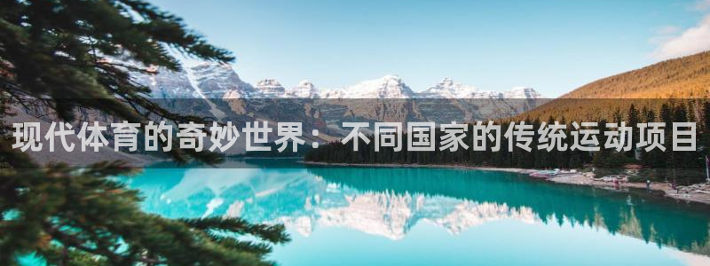 绿茵体育直播cBA：现代体育的奇妙世界：不同国家的传统运动项目
