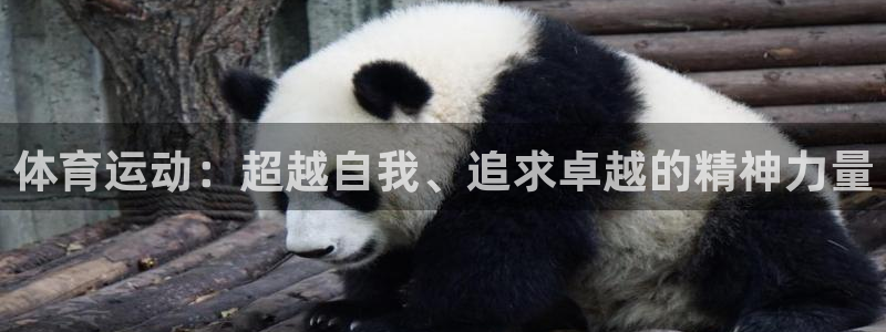 关键词