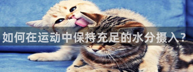 天津绿茵体育公司：如何在运动中保持充足的水分摄入？
