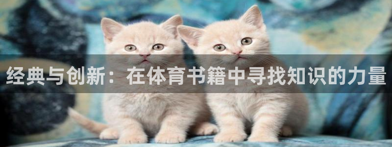 绿茵杯足球赛