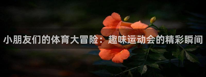 绿茵足球直播