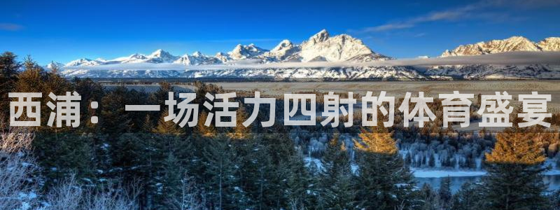 绿茵体育公司