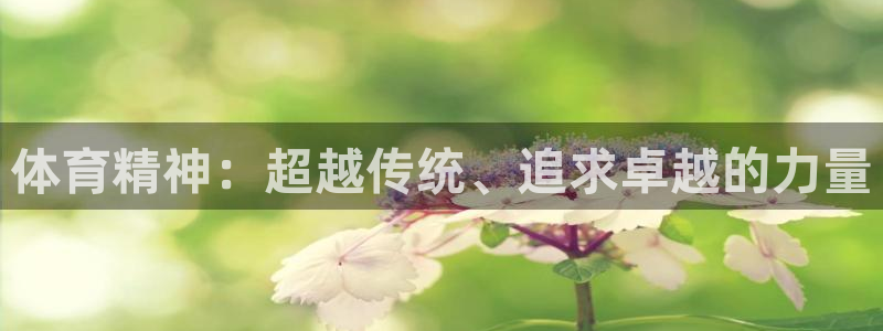 绿茵足球直播在线观看：体育精神：超越传统、追求卓越的力量